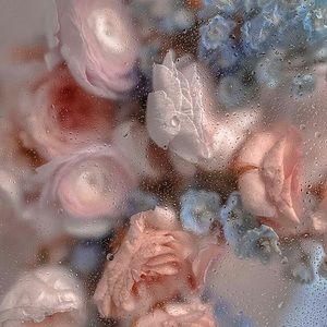 Meet your Posher, Aide